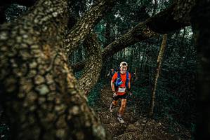 BIB: 
                            <button type="button" onclick="openModal(25697983)" class="btn btn-primary btn-sm float-right btn-popup" data-toggle="modal" data-target=".modal-high-quality">
                        <i class="fas fa-shopping-cart"></i> Add to Cart
                    </button>
                                            <button type="button" onclick="isThisMe(25697983, true)" class="btn btn-success btn-sm float-right btn-popup btn-isme hidden" data-toggle="tooltip" data-placement="bottom" title="นี่คือรูปของคุณใช่ไหม คลิกที่นี่เพื่อเอาเข้าอัลบั้ม">
                        <i class="fas fa-plus"></i> Add to album
                    </button>
                    <button type="button" onclick="isThisMe(25697983, false)" class="btn btn-warning btn-sm float-right btn-popup btn-isnotme hidden">
                        <i class="fas fa-ban"></i> Remove from album
                    </button>